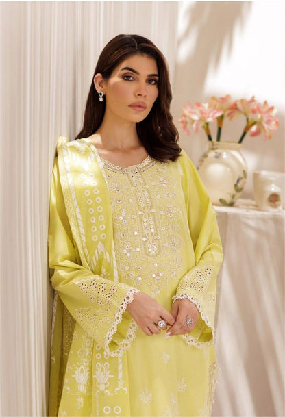 Nissa Chikankari 25 D# - 02