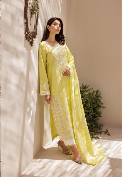 Nissa Chikankari 25 D# - 02